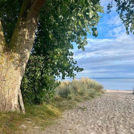 Feriendorf Suedstrand Haus 36 Pelzerhaken Kültér fotó
